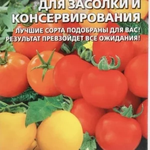 томаты для засолки