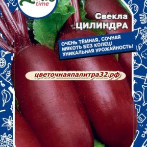 Свекла Цилиндра 2г цилиндрическая