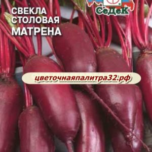 Свекла Матрена 3г цилиндрическая