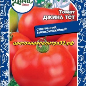 Томат Джина ТСТ