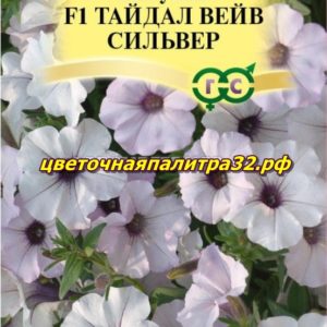 Петуния Тайдал Вейв F1 Сильвер