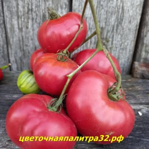 Тырновский Розовый